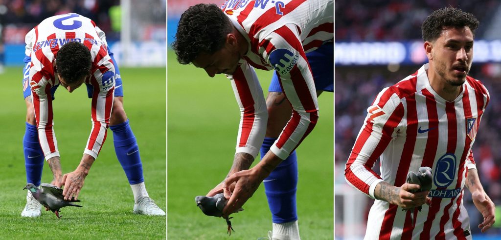 "Jogador do Atlético de Madrid se torna herói de pombo atingido por bola: 'Um ser de luz'"