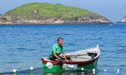 Exposição sobre conservação dos oceanos é destaque no Bay Market, em Niterói, através do Projeto Aruanã