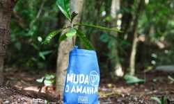 Iniciativa Muda o Amanhã é laureada com o prêmio Prosegh 2026 e amplia plantio para 10 mil mudas na Pedra Branca