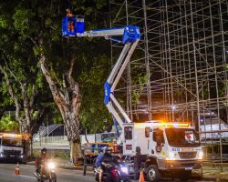 Salvino Oliveira propõe novas medidas para monitorar podas e gestão de resíduos verdes