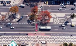 Rio registra maior número de moradores solitários em comparação à média nacional