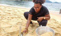 Da poluição plástica aos microfragmentos: estudo da UFRJ analisa consequências e sugere alternativas sustentáveis