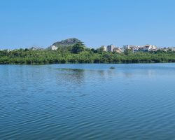 Concessão do Bosque da Barra e do Parque Chico Mendes suspensa pela Prefeitura do Rio sem previsão de retorno