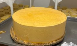 Valença se prepara para a 5ª edição da Festa do Queijo, que apresentará o ‘maior queijo prato do planeta