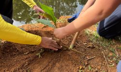 Mais de 100 estudantes se unem em ação ecológica no Lago de Corrêas, em Petrópolis