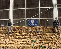 Polícia Militar do Rio realiza grande apreensão de entorpecentes na Maré durante ação na Nova Holanda