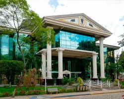 Mutirão em Nova Iguaçu oferece vacinação, castração de animais e serviços de cidadania gratuitamente neste sábado