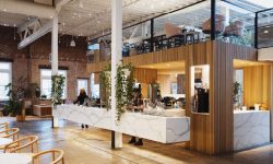 Cafeterias brasileiras entram no mapa mundial em meio à crescente paixão pelo café