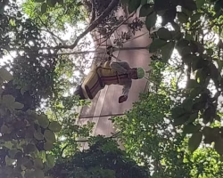 Piloto de asa-delta fica preso em árvore no Jardim Botânico após forte vento; resgate é necessário a 30 metros do chão