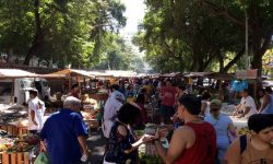 Operação da Guarda Municipal resulta na prisão de 15 flanelinhas na Feira da Glória