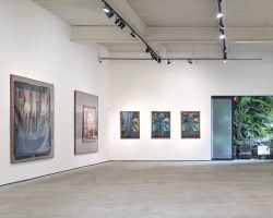 Circuito de Galerias no Rio: Arte em Exposição com Visitas Guiadas e Diálogos com Criadores