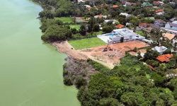 Devastação de manguezais coloca em risco o ecossistema da Lagoa de Jacarepaguá diante de empreendimentos imobiliários luxuosos